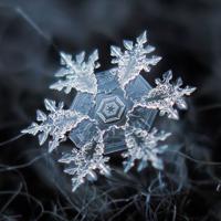 Special Snowflake